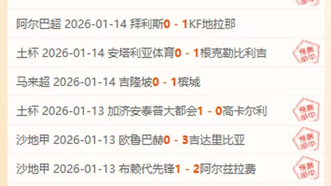 星火闪耀：海外新兴力量