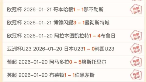 拜仁主场十年首败多特，图赫尔留任悬念待解