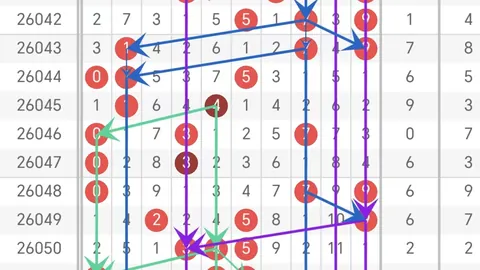 双色球2026028期专家预测：蓝号杀码定胆及排行分析